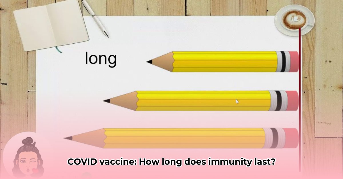how-long-does-covid-vaccine-last-in-the-body